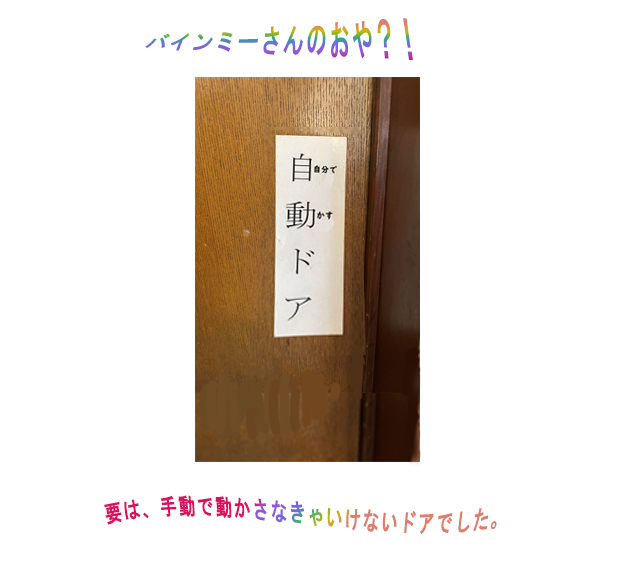 新企画